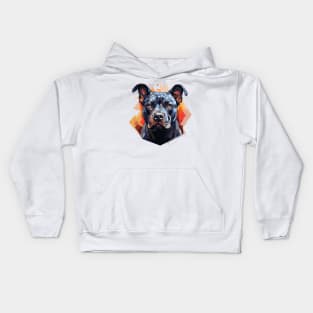 Zen Brutus Kids Hoodie